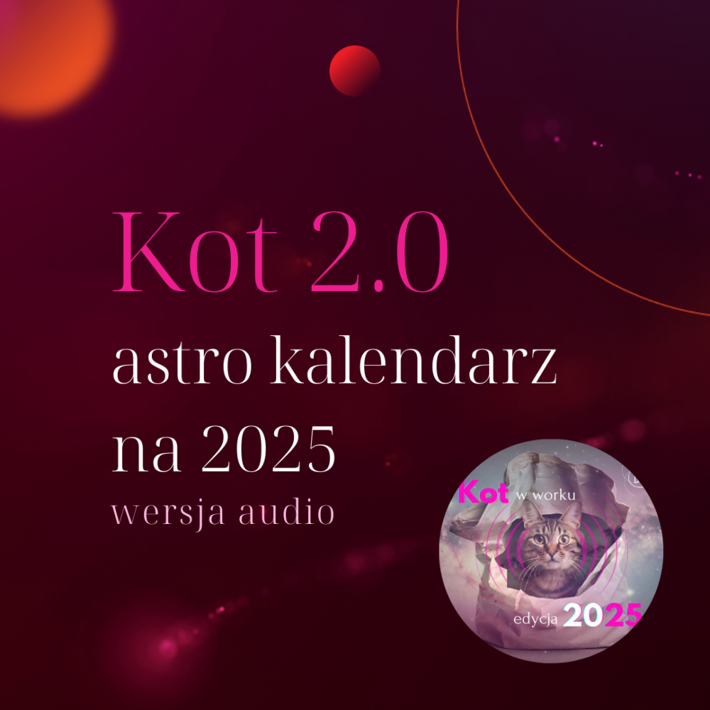Kot w worku 2.0